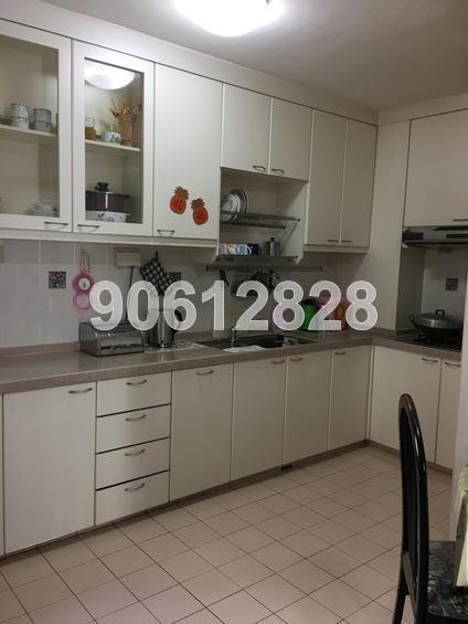 Blk 315C Anchorvale Road (Sengkang), HDB Executive #155164882